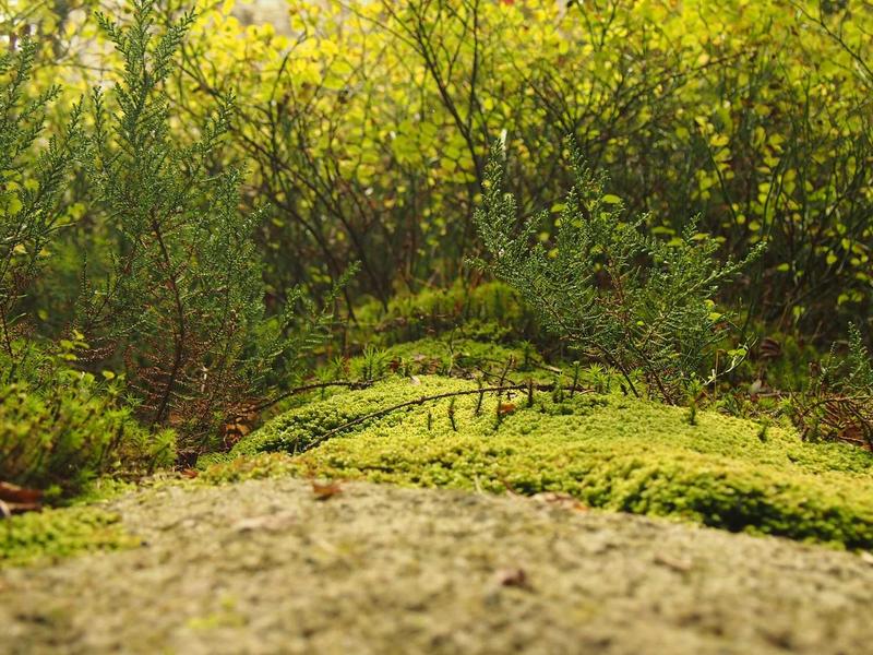 无信用卡换区<br>跳过付款方式修改地区指南